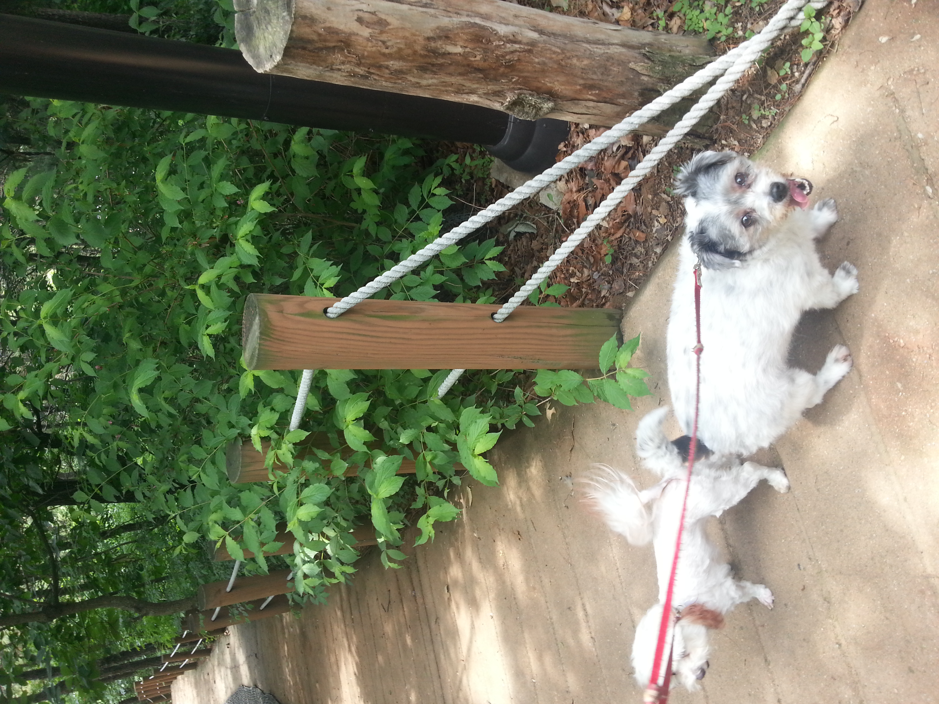 말썽쟁이득이..덕분에 또 이사했어요