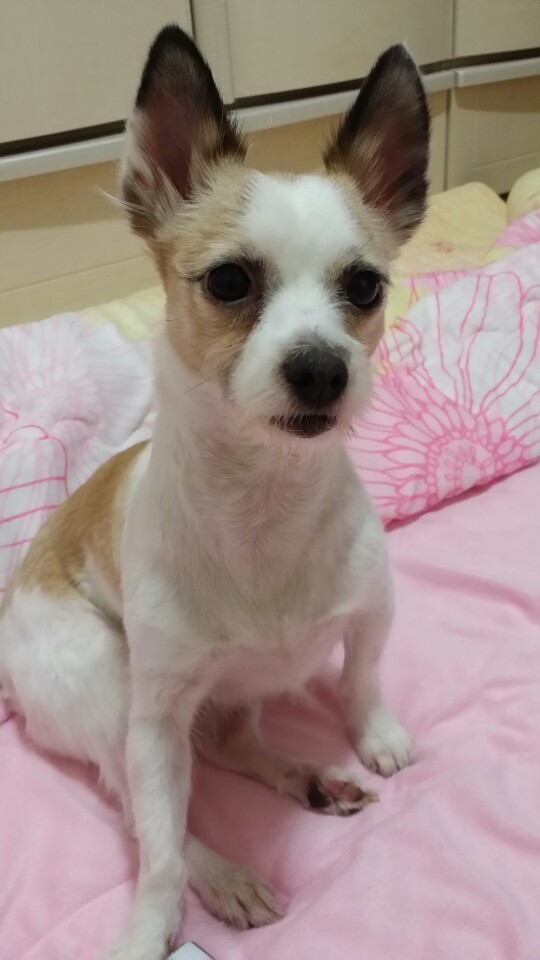 오랜만에 카이 인사드려요