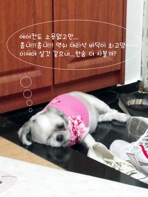 무더운 여름날 왕누니의 피서법....