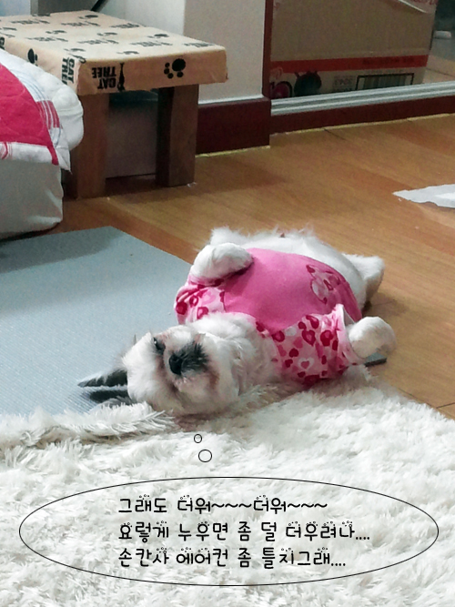 무더운 여름날 왕누니의 피서법....