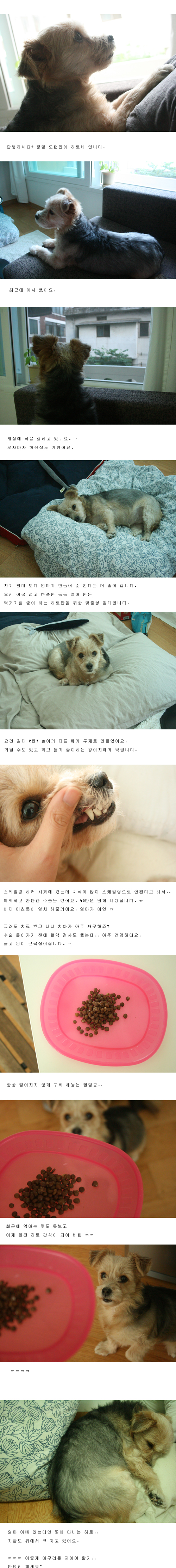 안녕하세요? 하로네 입니다.