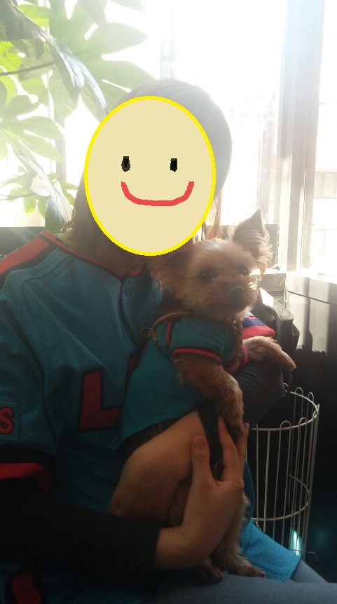 테리와 벌써 일년이네요^^ 