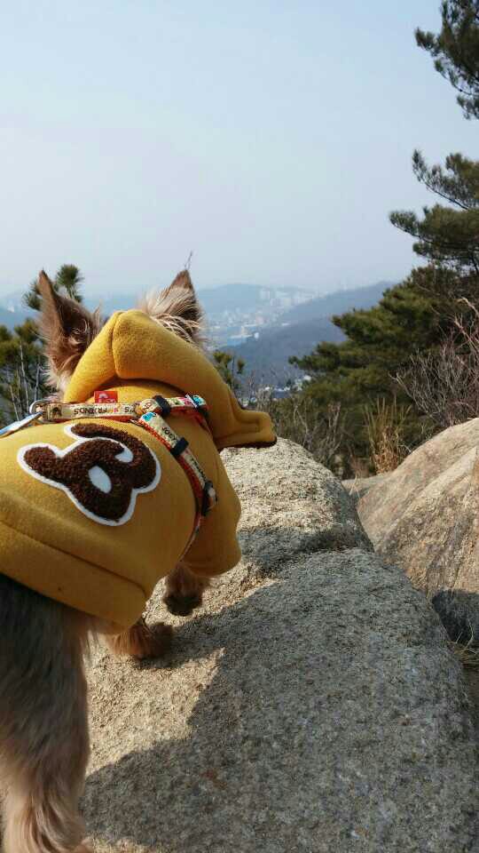 테리와 벌써 일년이네요^^ 