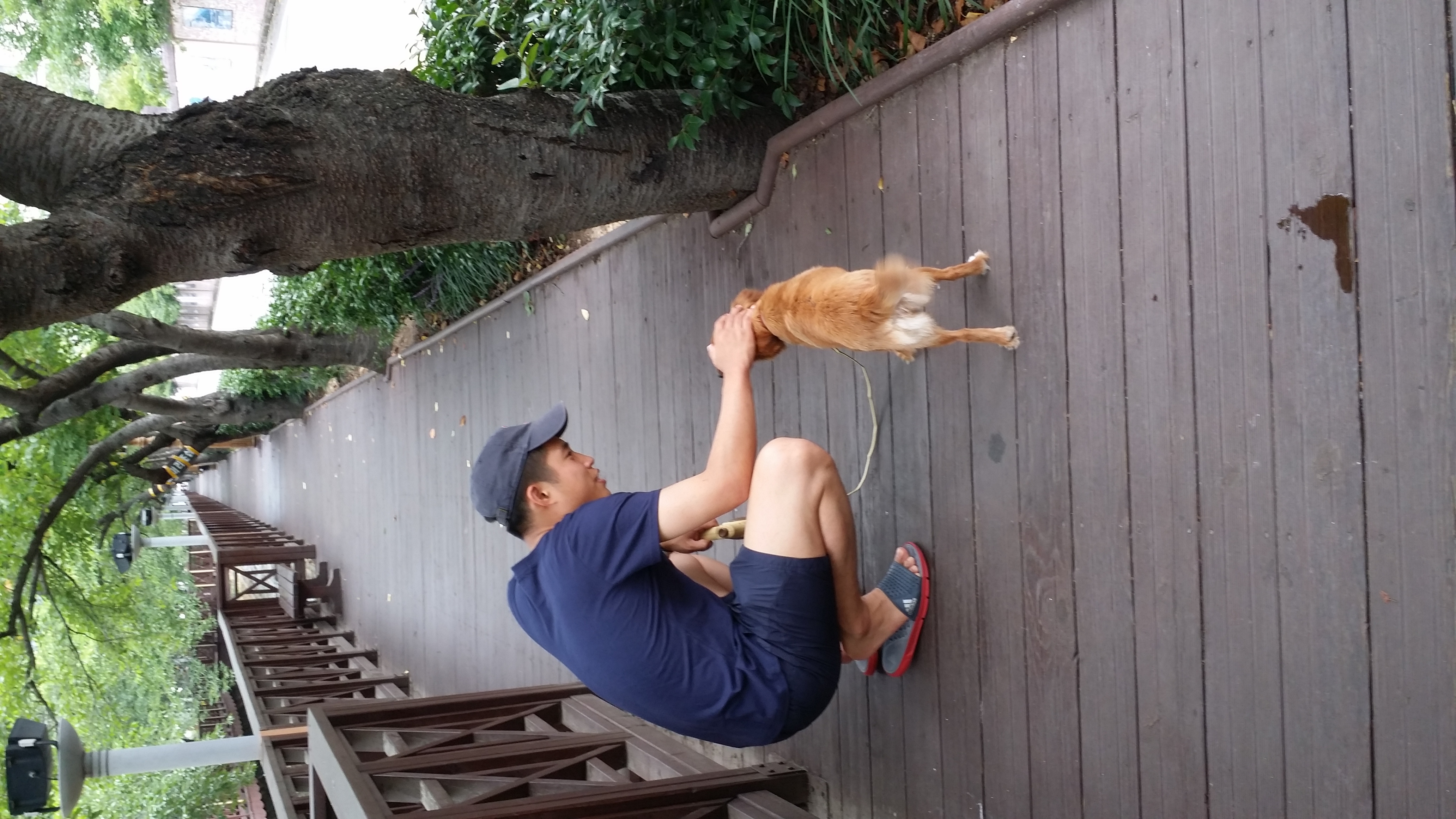 치노가 가족된지 한달입니다~♡