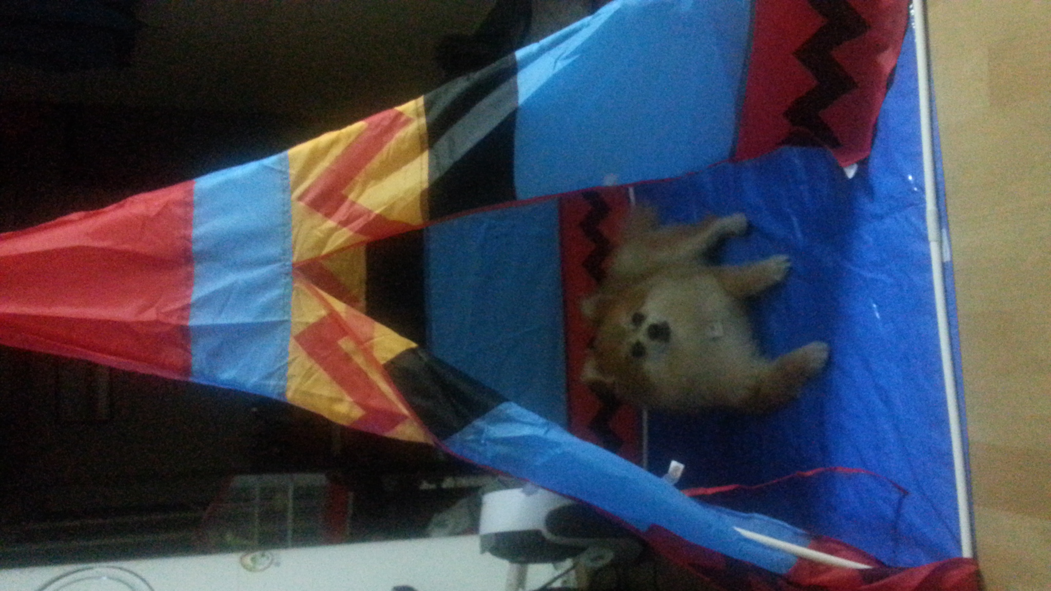 삼식이 아직 기억하시나요...?