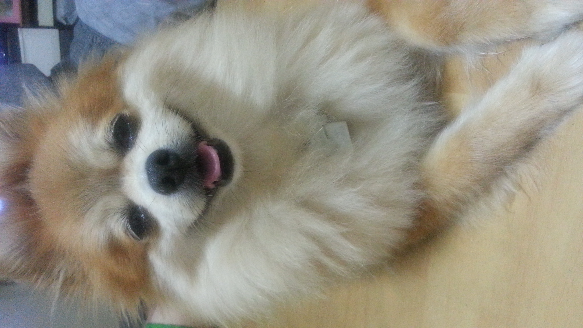 삼식이 아직 기억하시나요...?