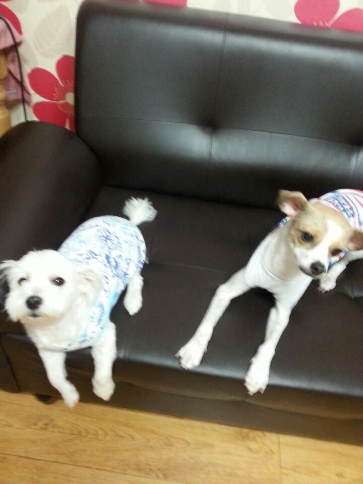 축복이의 7살 생일~^^