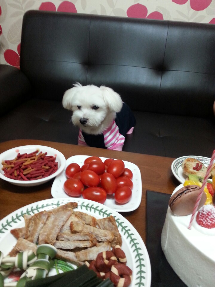 축복이의 7살 생일~^^