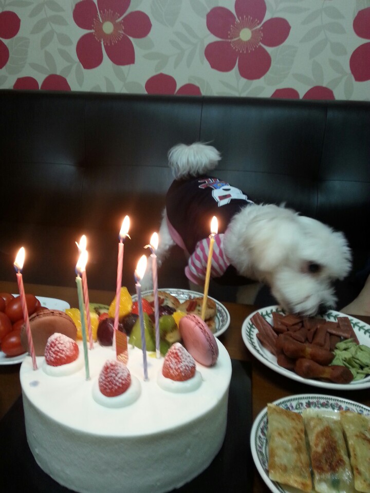 축복이의 7살 생일~^^