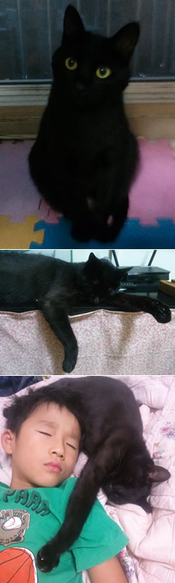 야후 잘 지내요