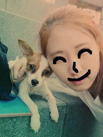 오랜만에 콩이 후기입니다^^