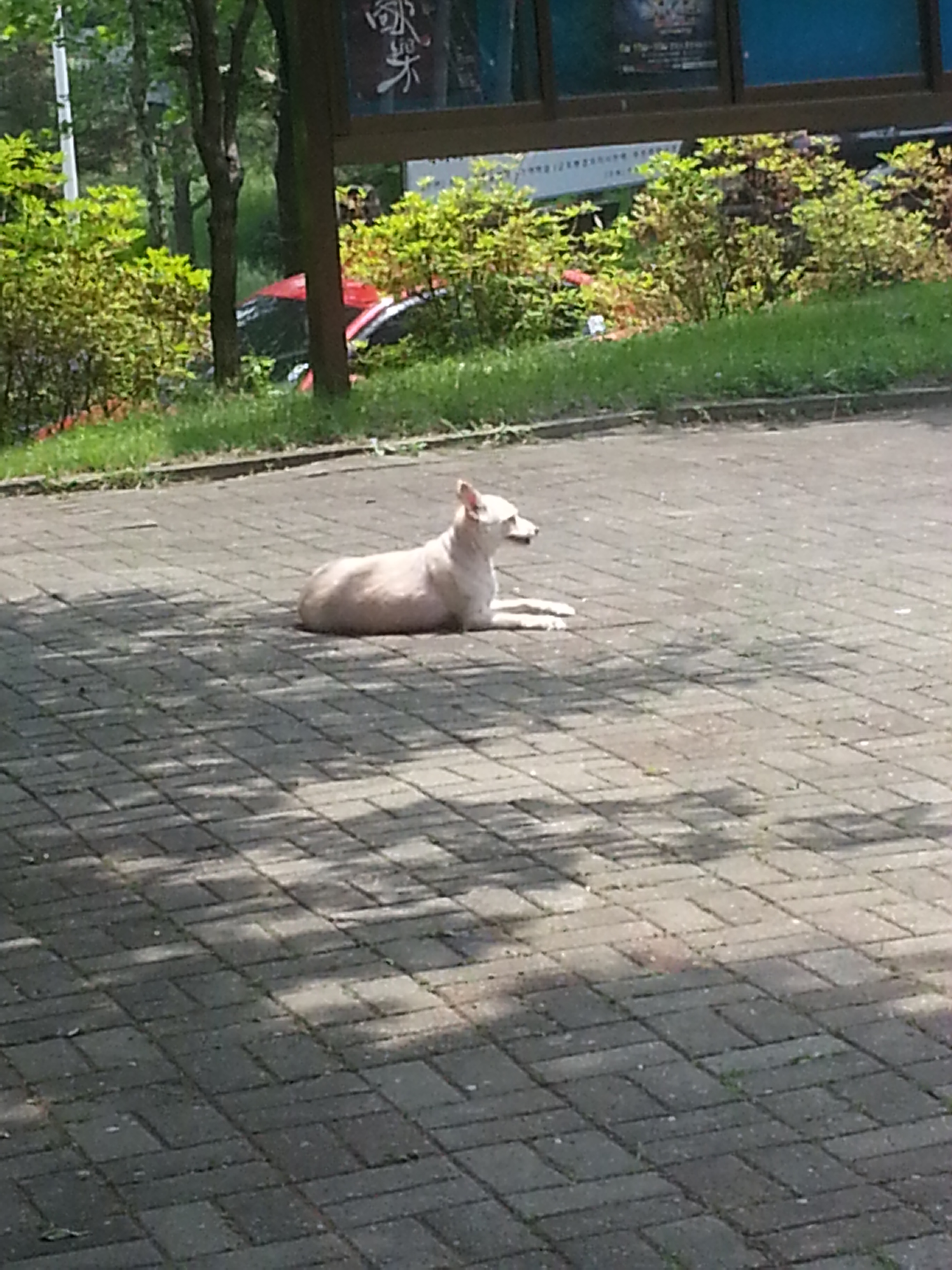 산이와강이를 기억하시는지?