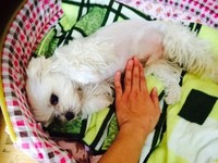 둥이~2차 후기입니다~~