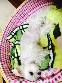 둥이~2차 후기입니다~~