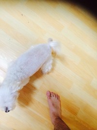 둥이~2차 후기입니다~~