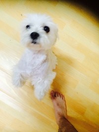 둥이~2차 후기입니다~~