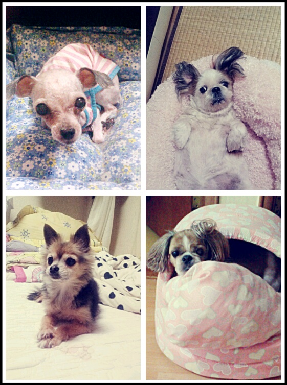 아로미를 추억하며~^^