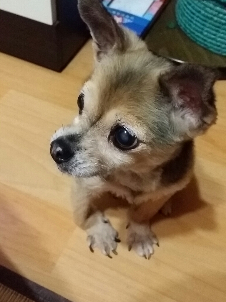 아로미를 추억하며~^^