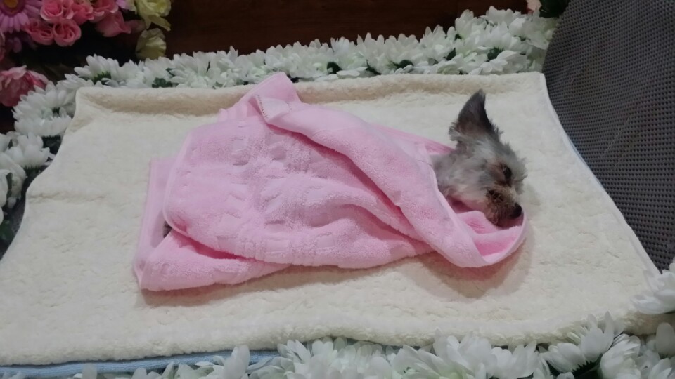 아로미를 추억하며~^^