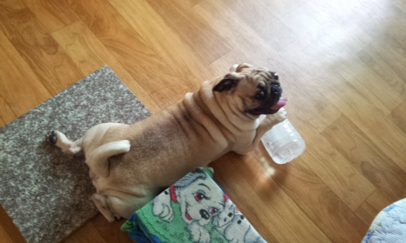 양산 영심이 ,단심이 심심 자매  까꿍..