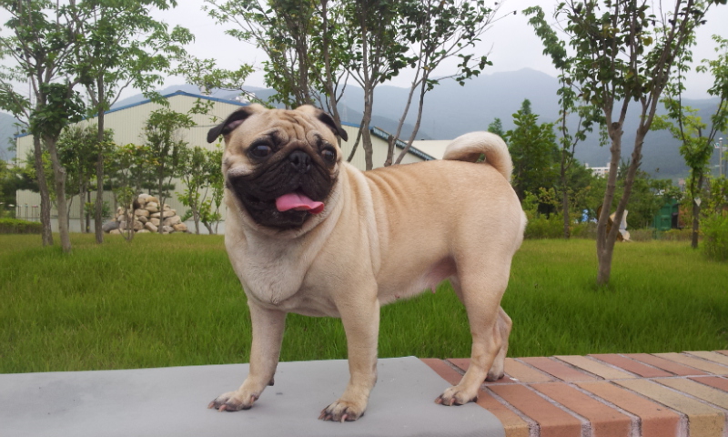 양산 영심이 ,단심이 심심 자매  까꿍..