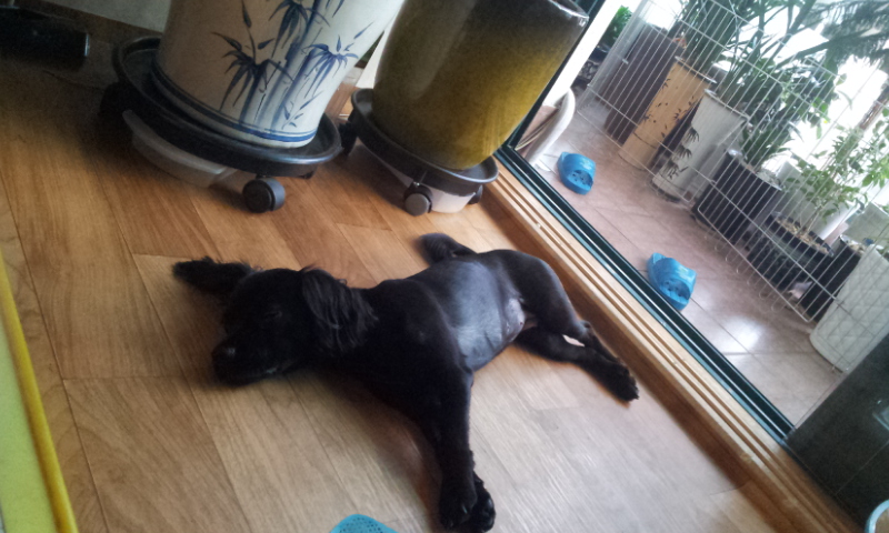 양산 영심이 ,단심이 심심 자매  까꿍..