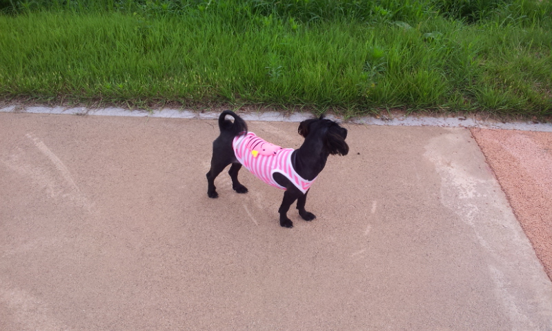 양산 영심이 ,단심이 심심 자매  까꿍..