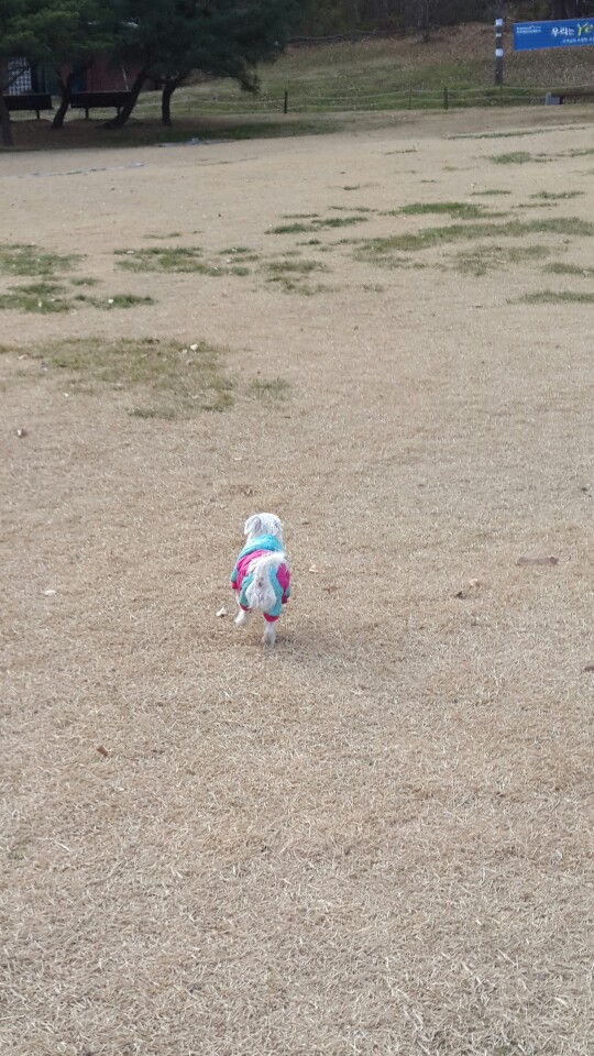 월동준비한 라봉