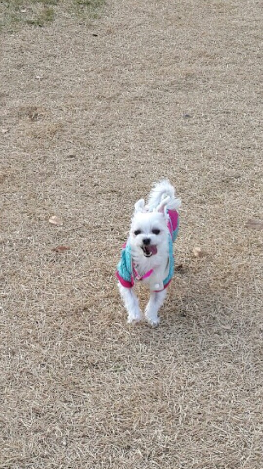 월동준비한 라봉