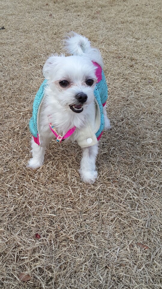 월동준비한 라봉