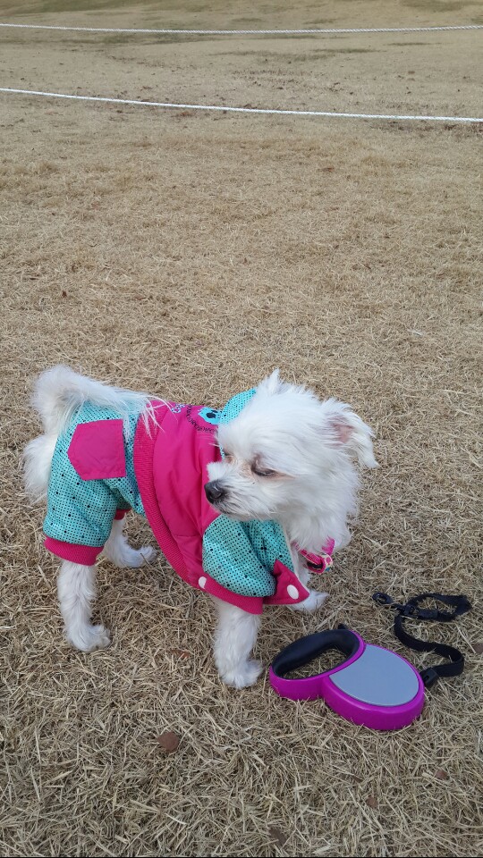 월동준비한 라봉