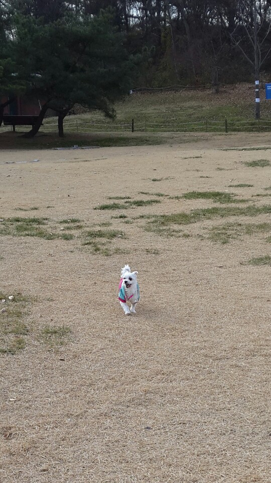 월동준비한 라봉