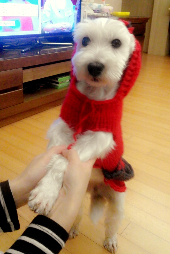 애플이 근황입니다^^