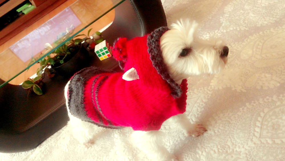 애플이 근황입니다^^