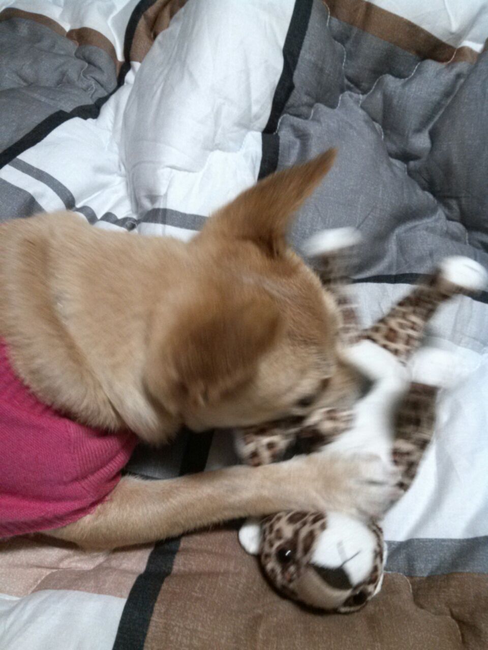 공주 건강검진...