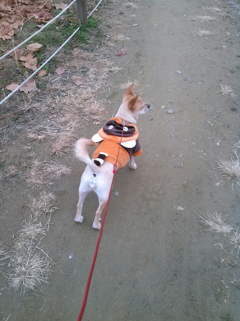 공주 건강검진...