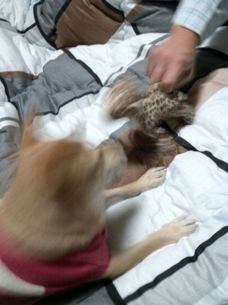 공주 건강검진...