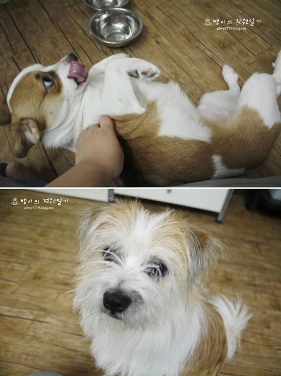 밥 잘 먹고 말썽도 좀...ㅋㅋㅋ