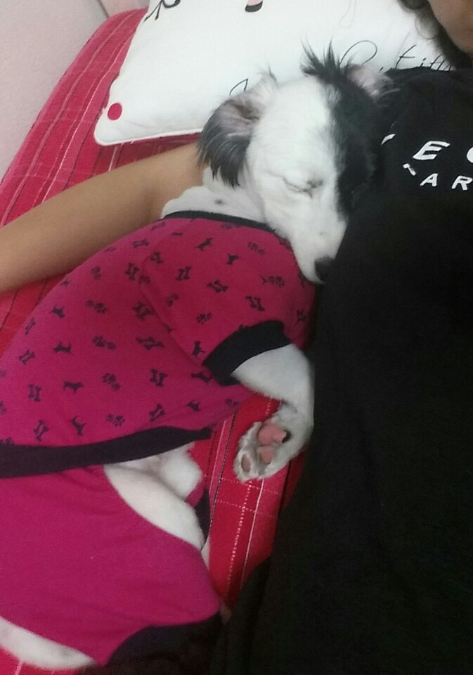 두렁이 두번째 후기 올려요~