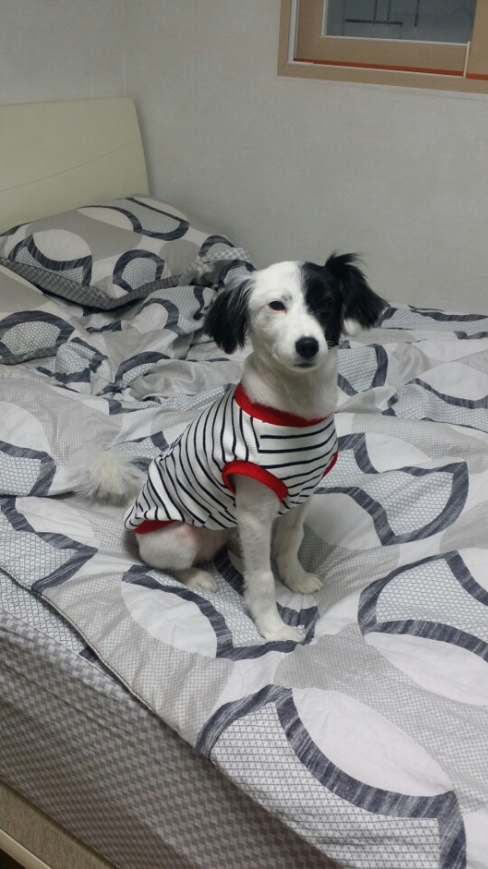 두렁이 두번째 후기 올려요~