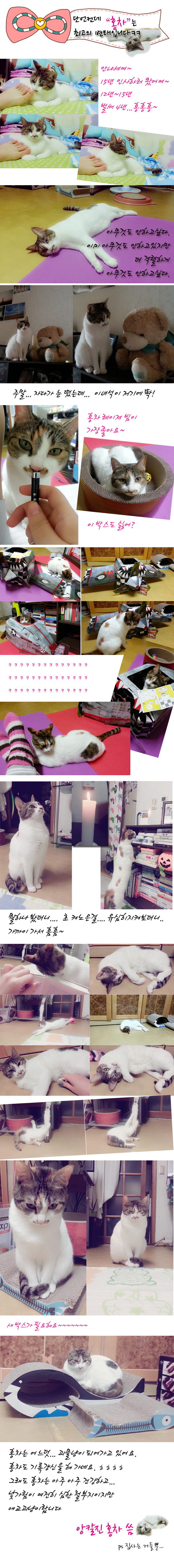 2015년 홍차 아주 오랫만에 다시 인사드려요~~~~~~