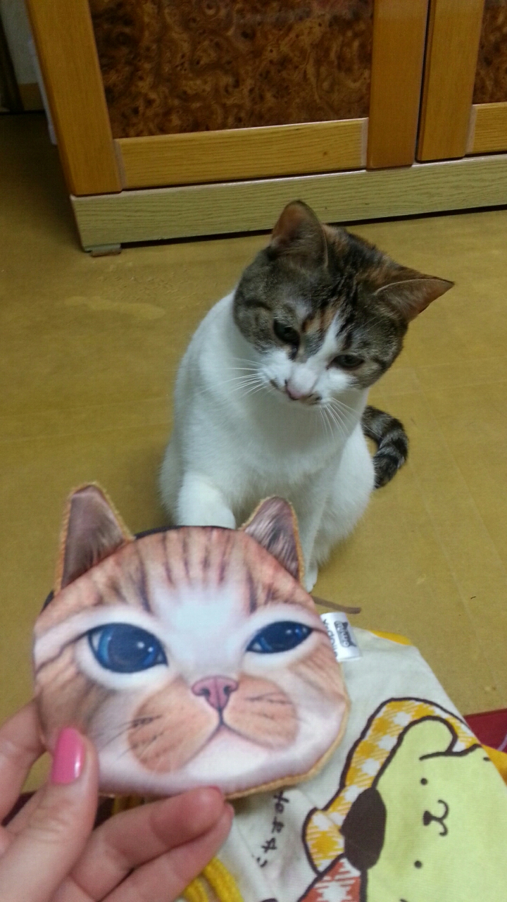 2015년 홍차 아주 오랫만에 다시 인사드려요~~~~~~