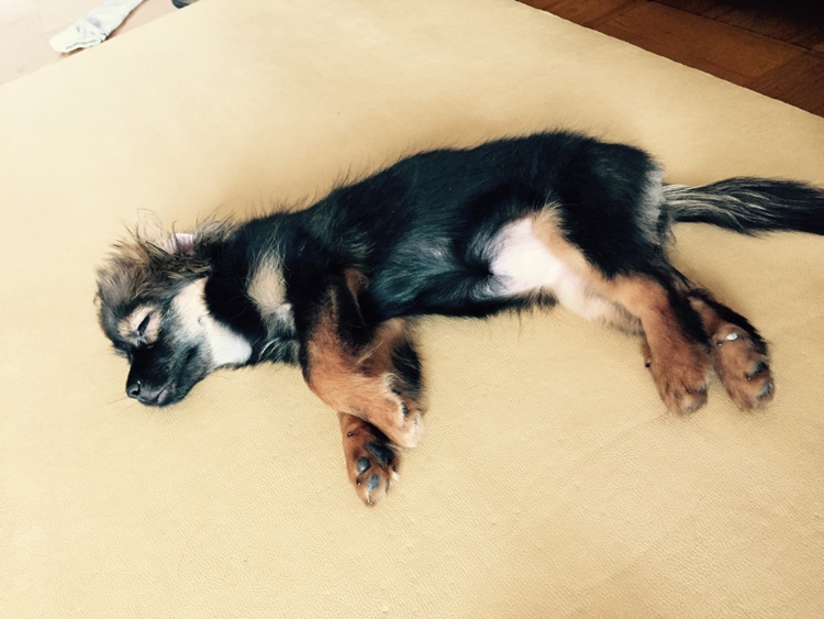 안나야 보고싶었어~~~^^