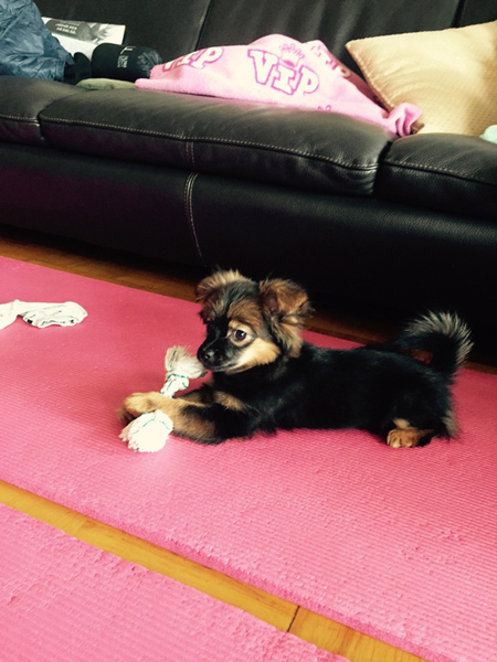 안나야 보고싶었어~~~^^