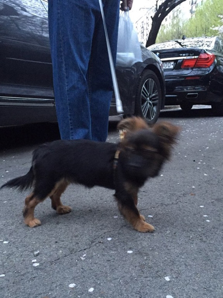 안나야 보고싶었어~~~^^