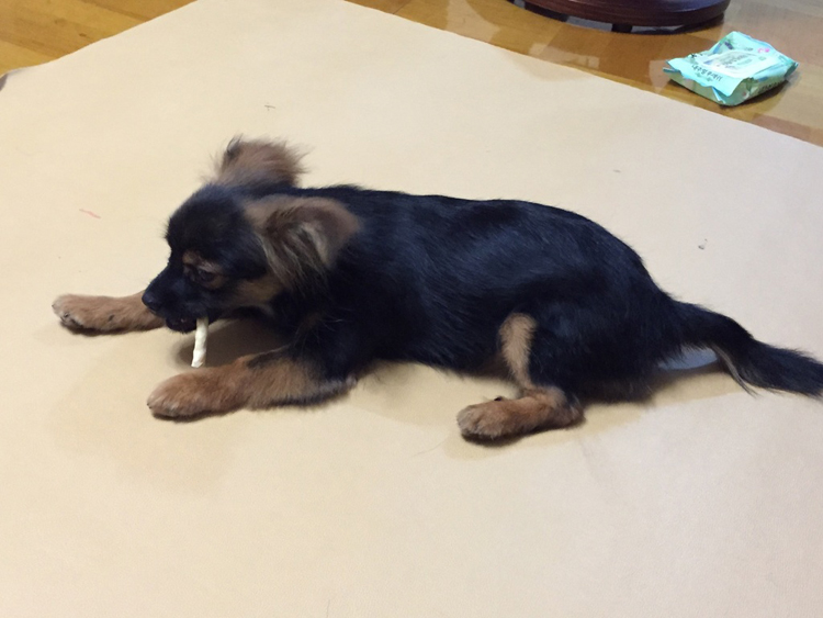 안나야 보고싶었어~~~^^