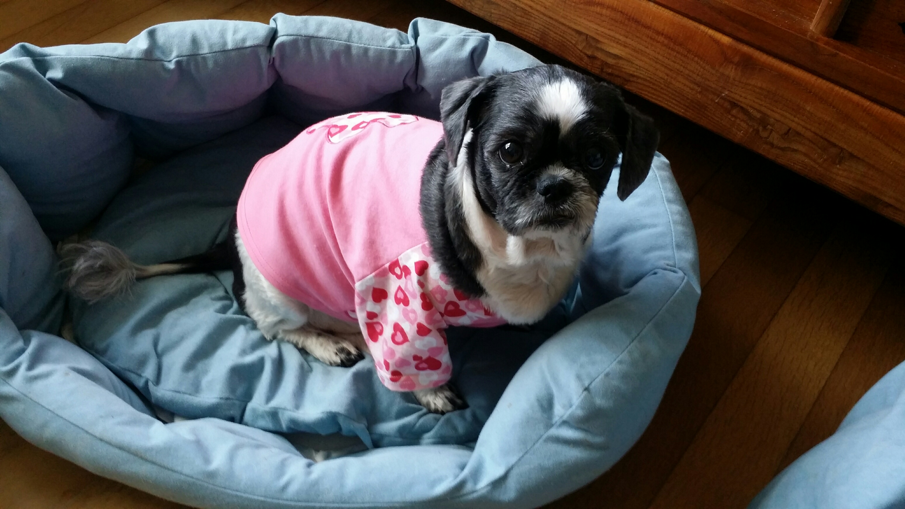 우리 집 보물들