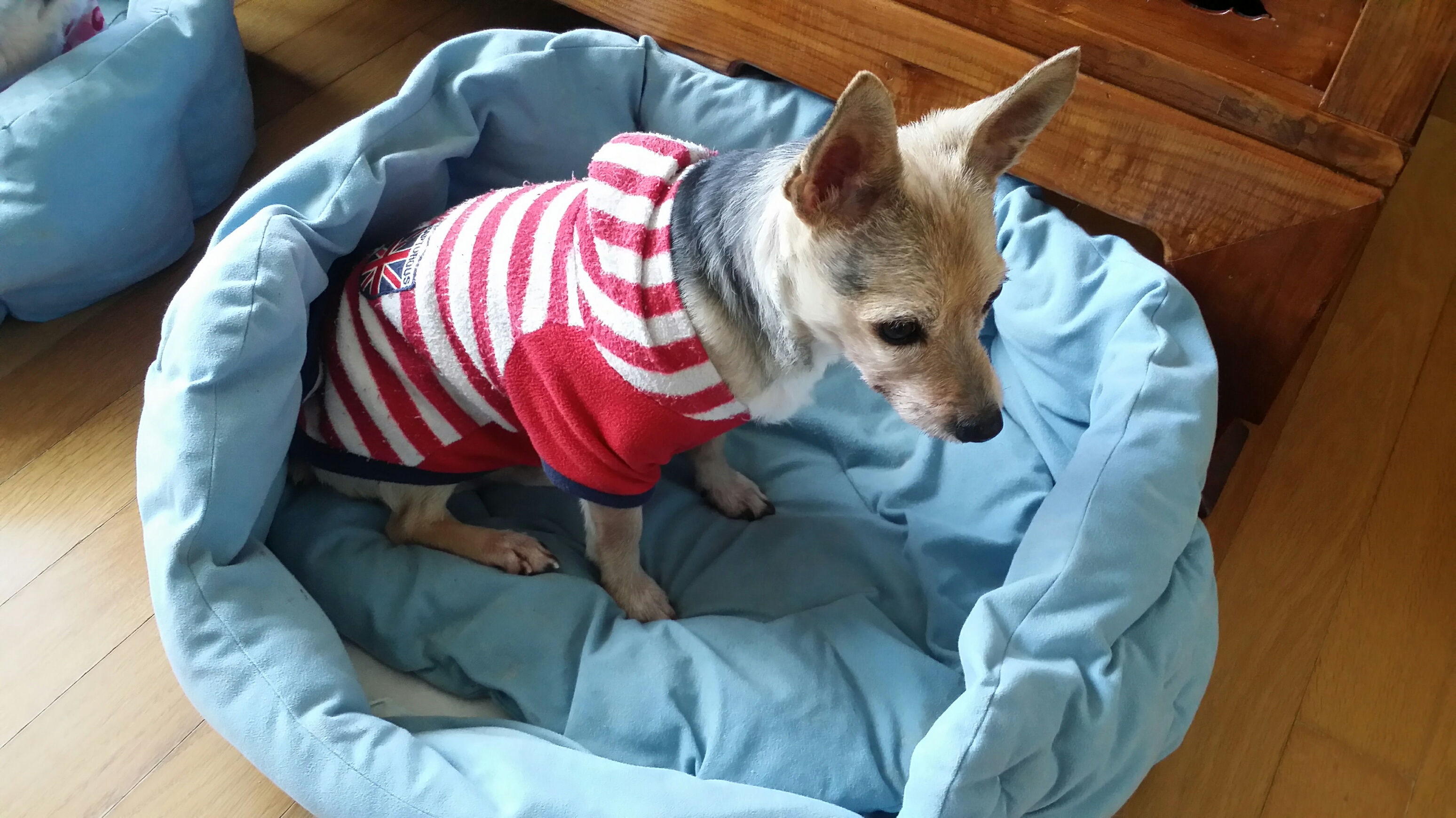 우리 집 보물들