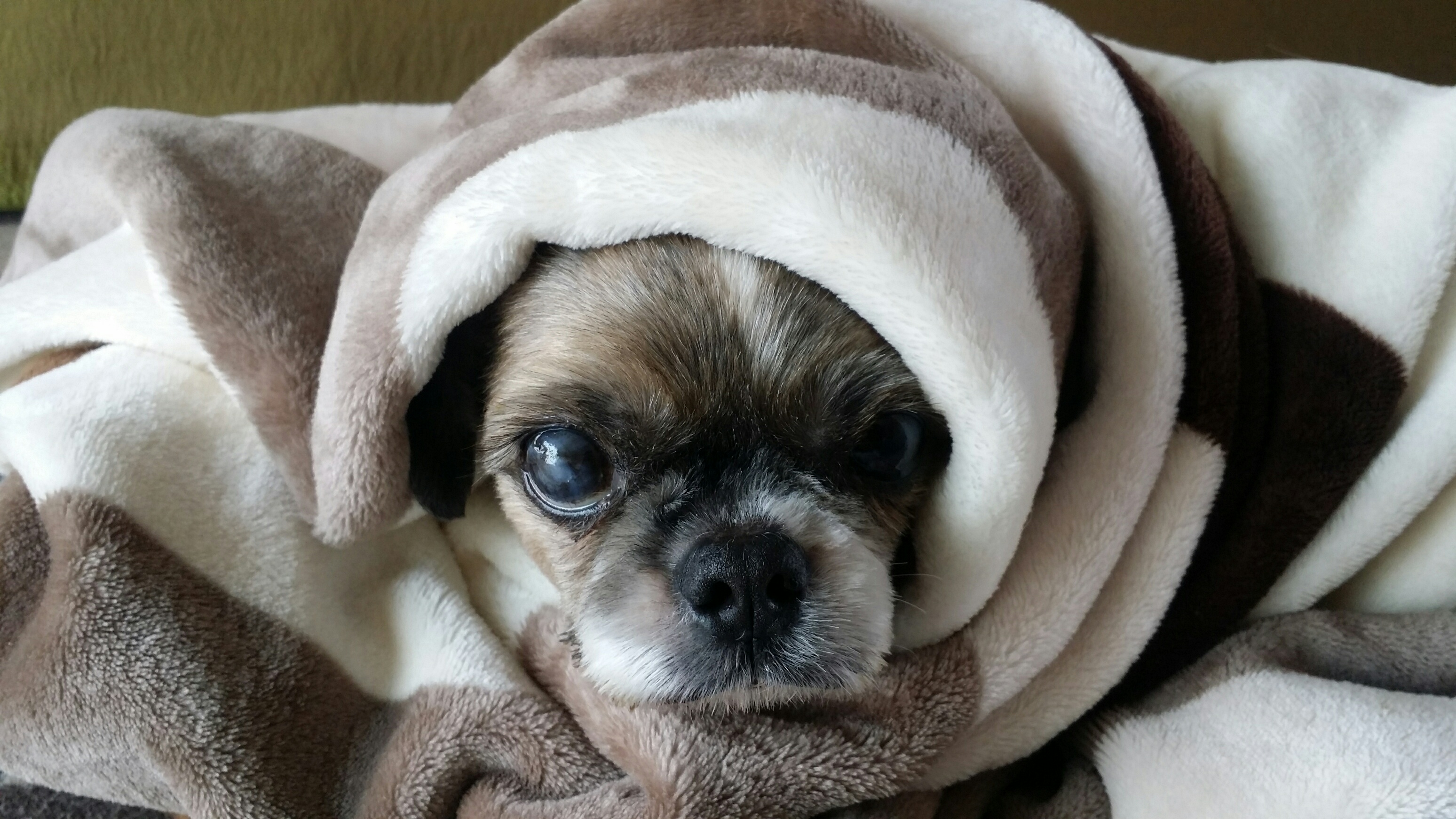 우리 집 보물들