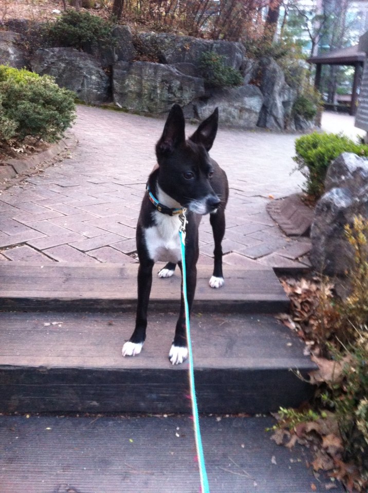 딩동이네 봄소식 전합니다.